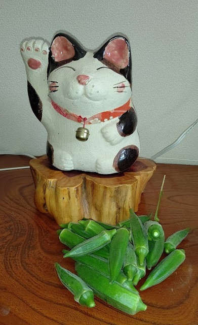f:id:nekoyanookami:20210930224734j:plain