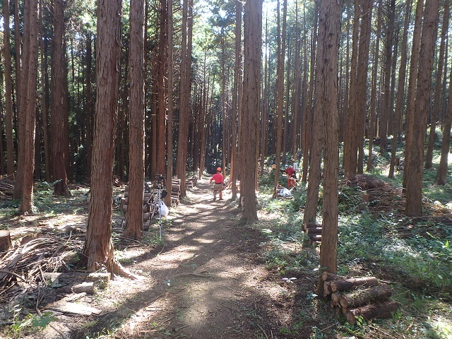 f:id:nekoyanookami:20211103212328j:plain