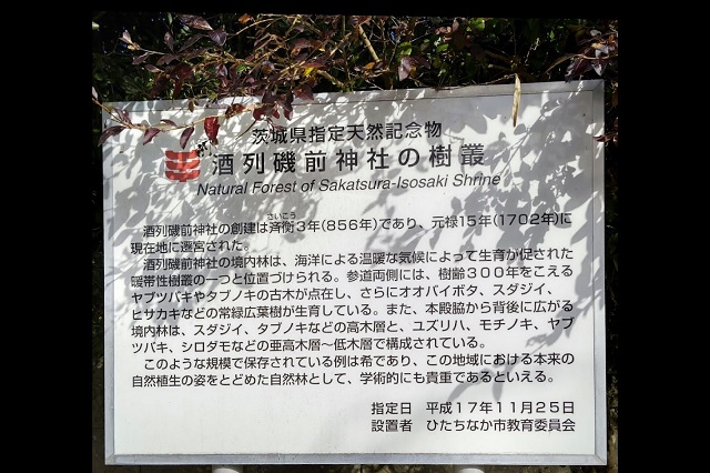 f:id:nekoyanookami:20220103232215j:plain