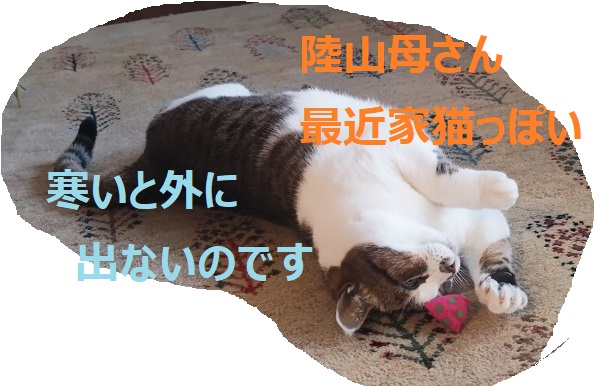 f:id:nekoyanookami:20220104143727j:plain