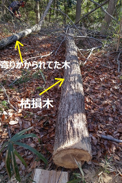 f:id:nekoyanookami:20220109162842j:plain