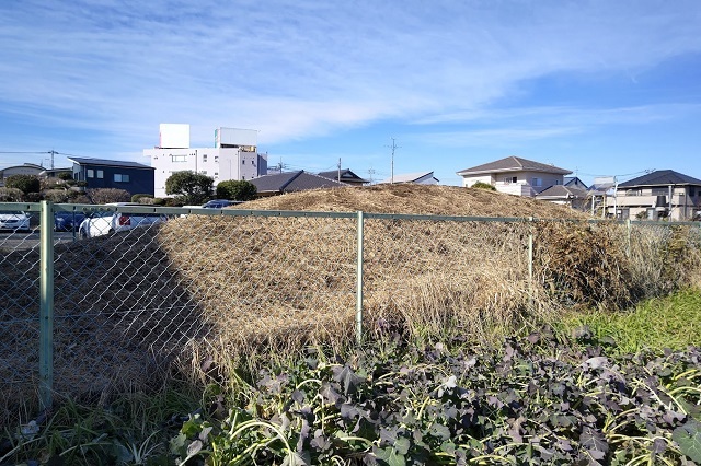 f:id:nekoyanookami:20220120181745j:plain