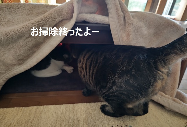 f:id:nekoyanookami:20220123184038j:plain