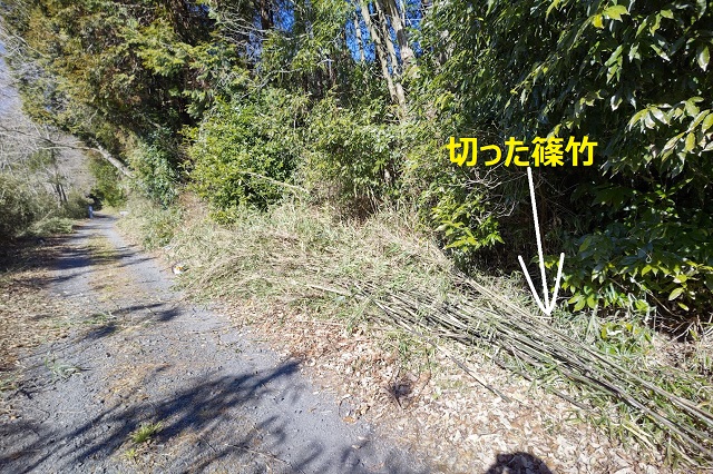 f:id:nekoyanookami:20220123191608j:plain