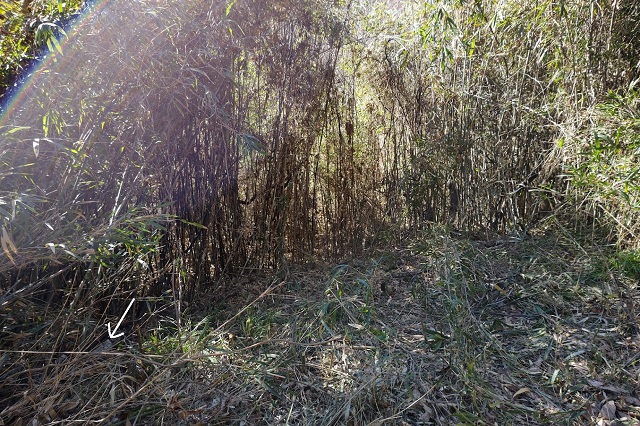 f:id:nekoyanookami:20220123191804j:plain