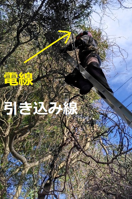 f:id:nekoyanookami:20220130171700j:plain