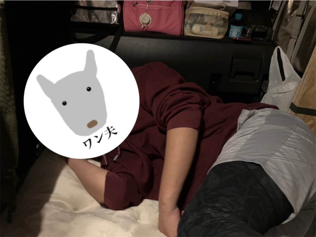 f:id:nekoyomemisako:20241006184955j:image f:id:nekoyomemisako:20241006184955j:image