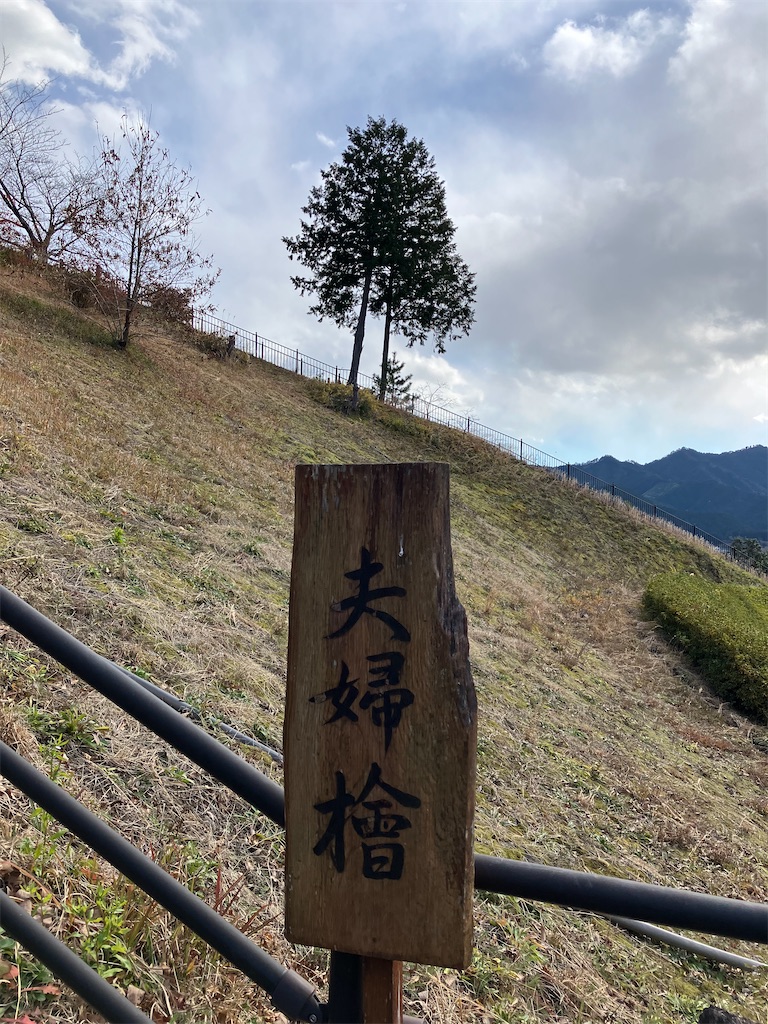 f:id:nekoyomemisako:20250202191655j:image f:id:nekoyomemisako:20250202191655j:image