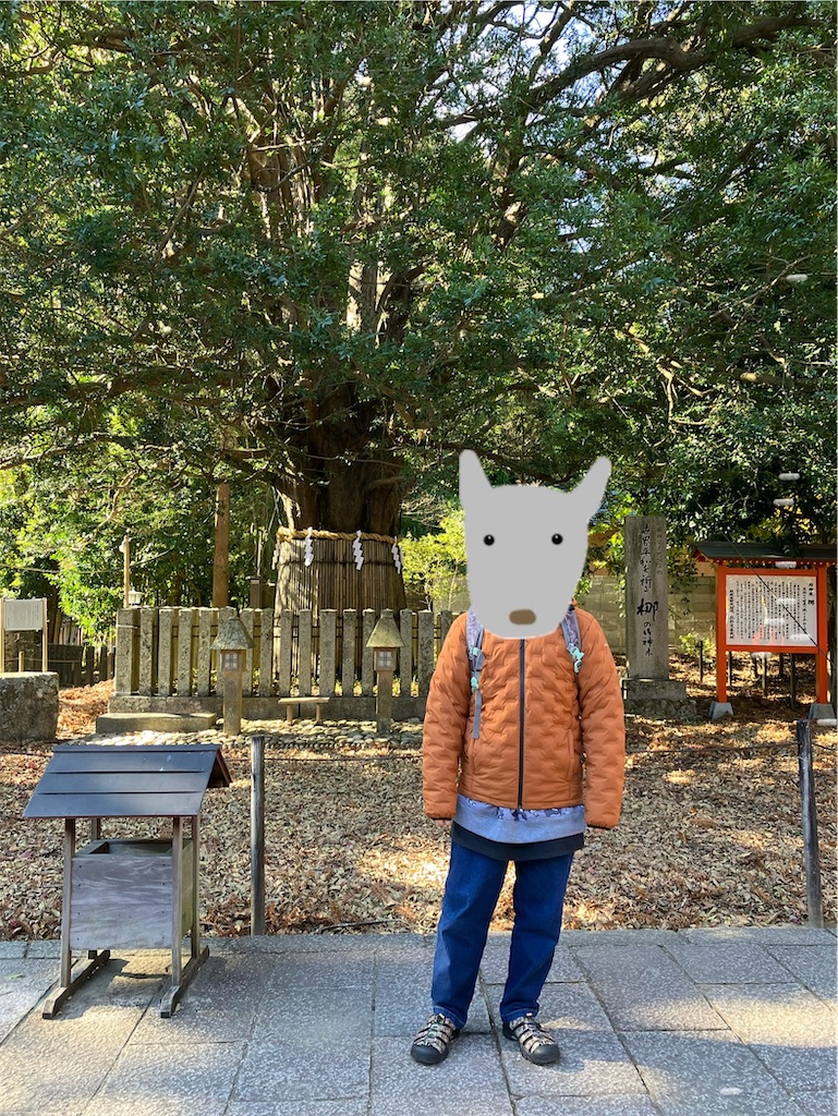 f:id:nekoyomemisako:20250221114113j:image f:id:nekoyomemisako:20250221114113j:image