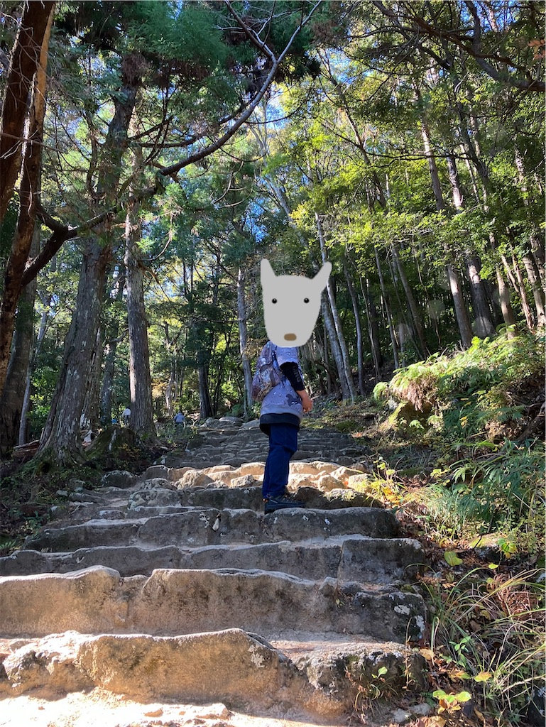 f:id:nekoyomemisako:20250221114128j:image f:id:nekoyomemisako:20250221114128j:image