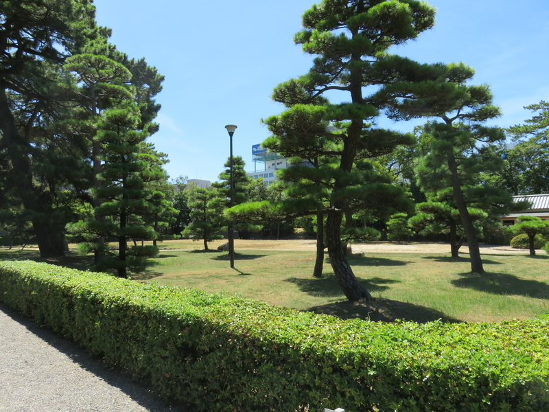 f:id:nekoyosida:20181024235206j:plain