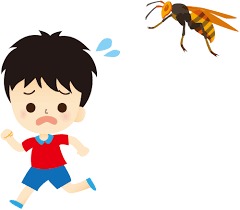 f:id:nekozamuraimk2:20191110182955j:plain f:id:nekozamuraimk2:20191110182955j:plain