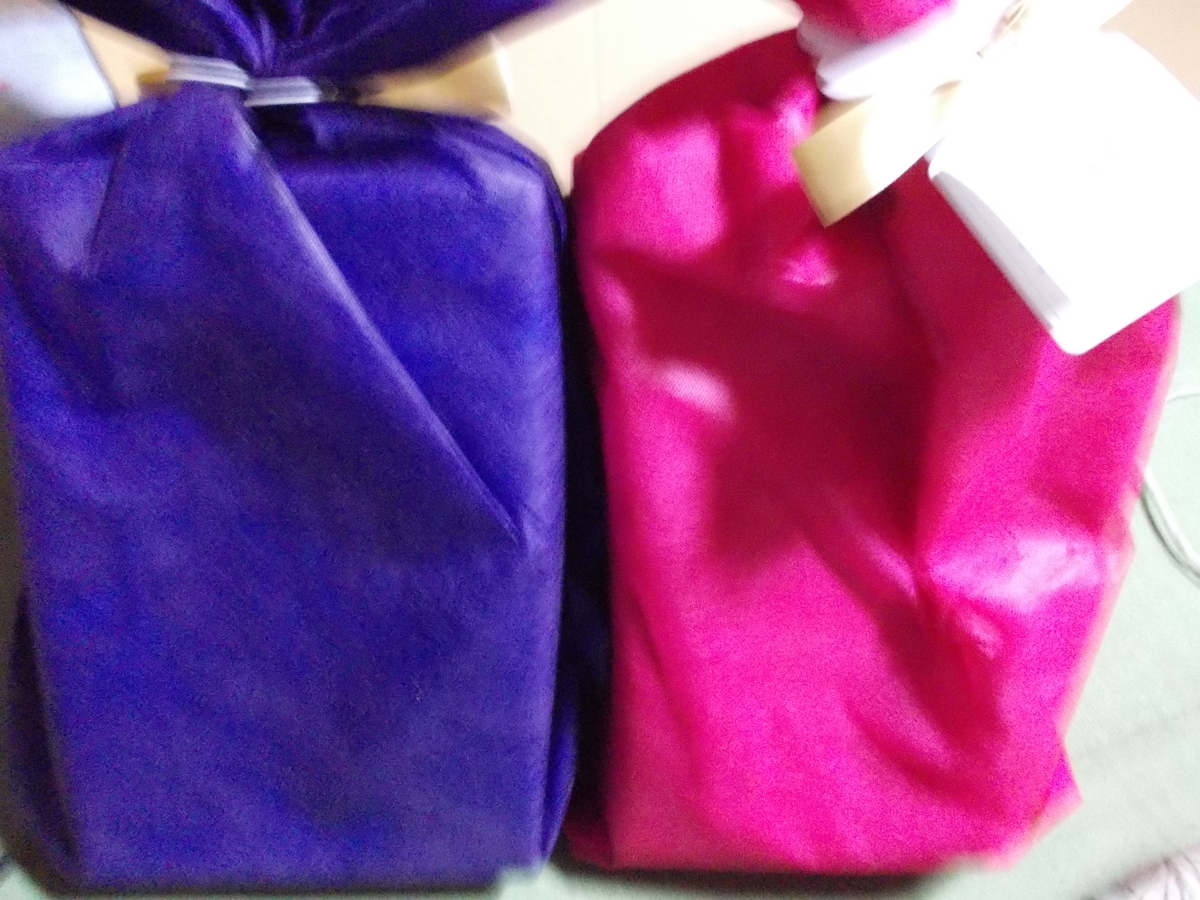 f:id:nekozamuraimk2:20201224183550j:plain