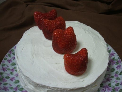 f:id:nekozanaruri:20101211231756j:image