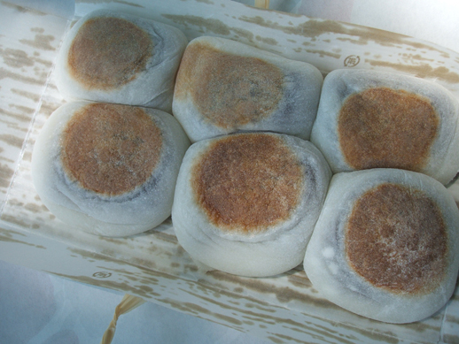 f:id:nekozanaruri:20120527094758j:image