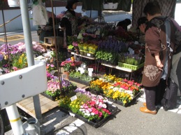 f:id:nekozanaruri:20130516182727j:image
