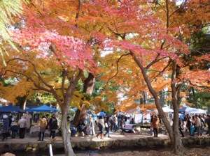 f:id:nekozanaruri:20131125071730j:image