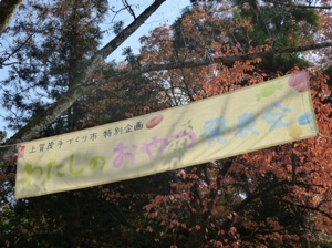 f:id:nekozanaruri:20131125071748j:image
