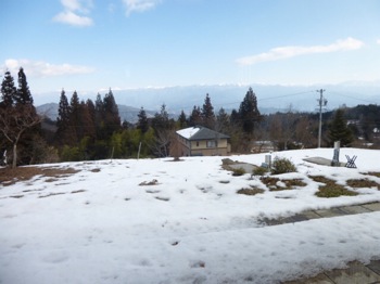f:id:nekozanaruri:20140112214740j:image