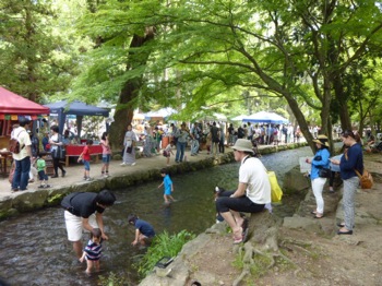 f:id:nekozanaruri:20140525232010j:image
