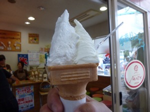 f:id:nekozanaruri:20140901212545j:image