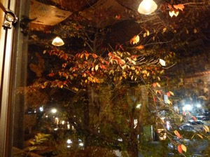 f:id:nekozanaruri:20141123224137j:image