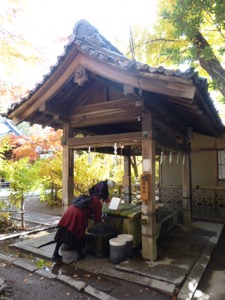 f:id:nekozanaruri:20141124223451j:image