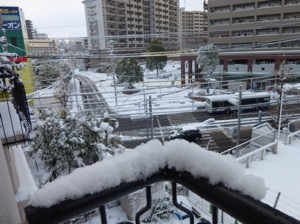 f:id:nekozanaruri:20141218225104j:image f:id:nekozanaruri:20141218225104j:image