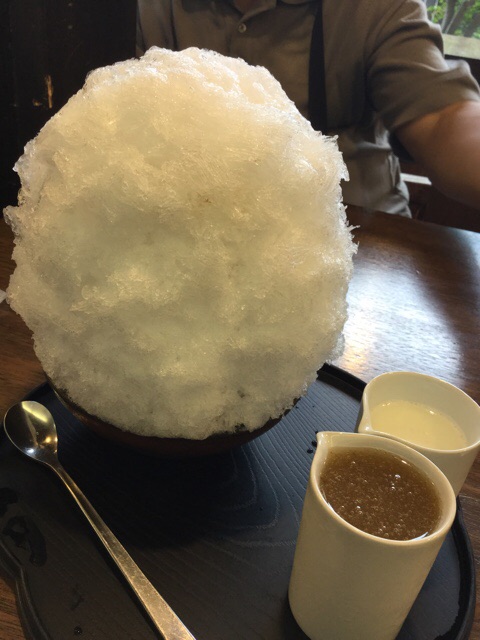 f:id:nekozanaruri:20150820012530j:image:w300