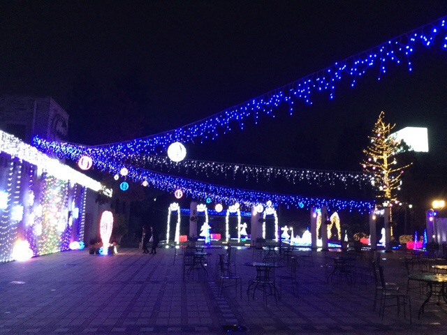 f:id:nekozanaruri:20151211023406j:image:w250