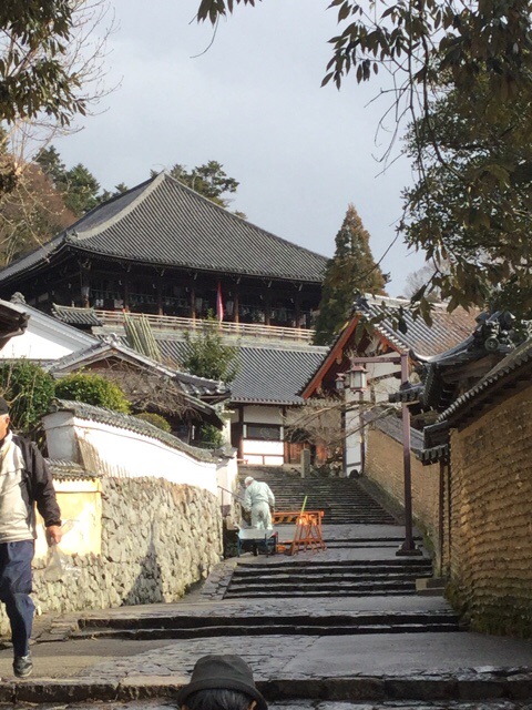 f:id:nekozanaruri:20160217214913j:image:w188