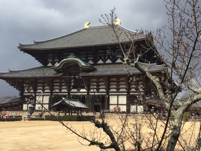 f:id:nekozanaruri:20160217214915j:image:w250