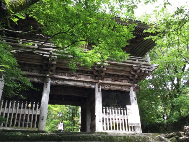 f:id:nekozanaruri:20160608220706j:image:w250