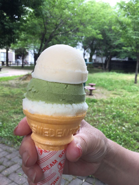 f:id:nekozanaruri:20160610011842j:image:w250