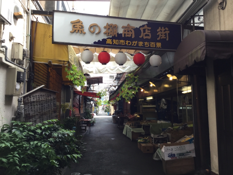 f:id:nekozanaruri:20160610013622j:image:w250