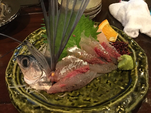 f:id:nekozanaruri:20160610020337j:image:w300