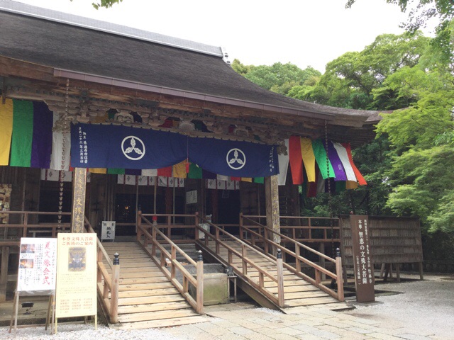 f:id:nekozanaruri:20160610023905j:image:w250