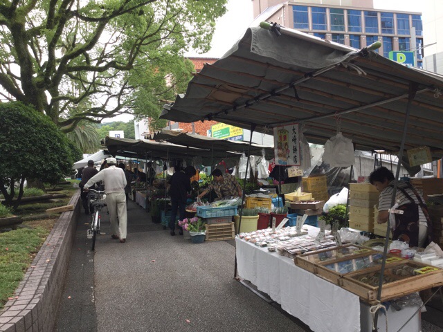 f:id:nekozanaruri:20160610144230j:image:w250