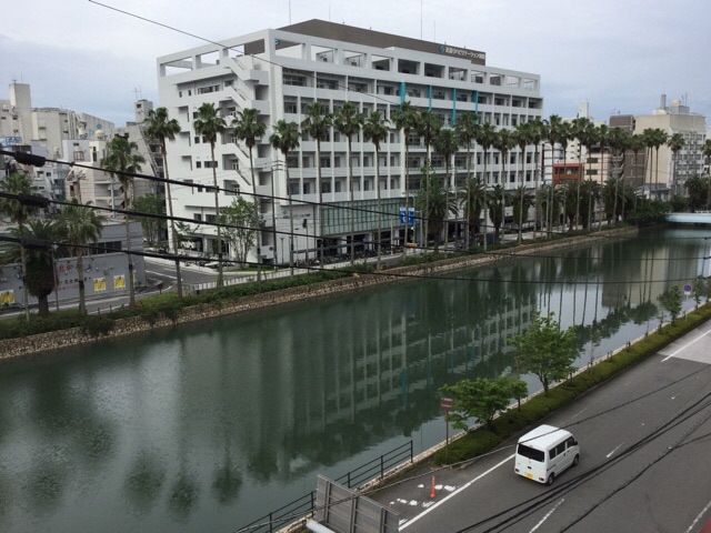 f:id:nekozanaruri:20160610171305j:image:w250