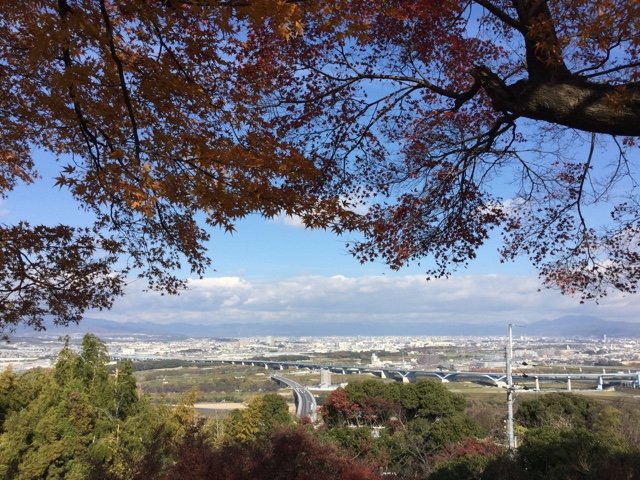 f:id:nekozanaruri:20161208233257j:image:w250