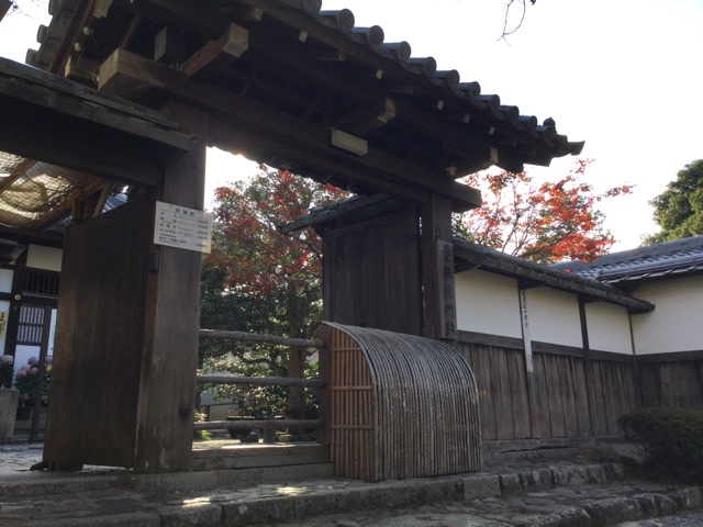 f:id:nekozanaruri:20161210201501j:image:w200