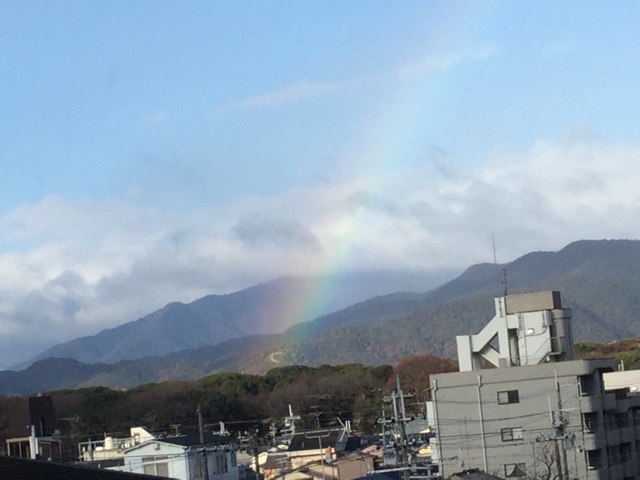 f:id:nekozanaruri:20161210201508j:image:w250
