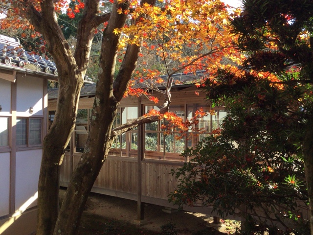 f:id:nekozanaruri:20161211003533j:image:w200