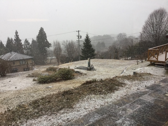 f:id:nekozanaruri:20170108225650j:image:w300