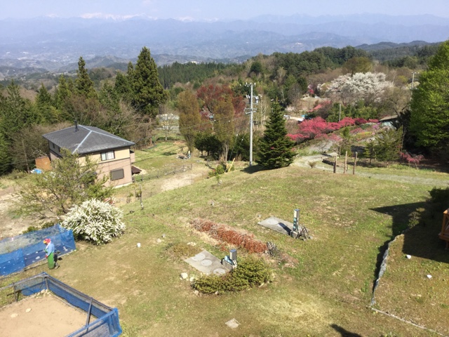 f:id:nekozanaruri:20170430174644j:image:w250