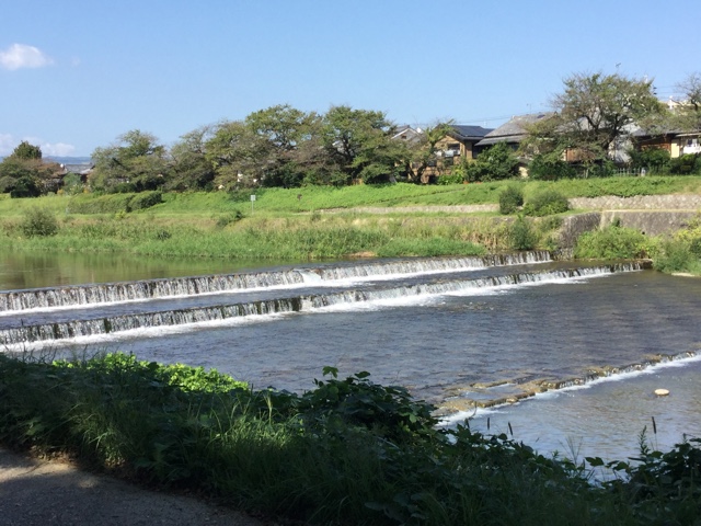 f:id:nekozanaruri:20170925200518j:plain f:id:nekozanaruri:20170925200518j:plain