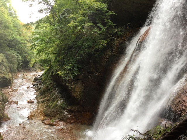 f:id:nekozanaruri:20171008174440j:plain f:id:nekozanaruri:20171008174440j:plain