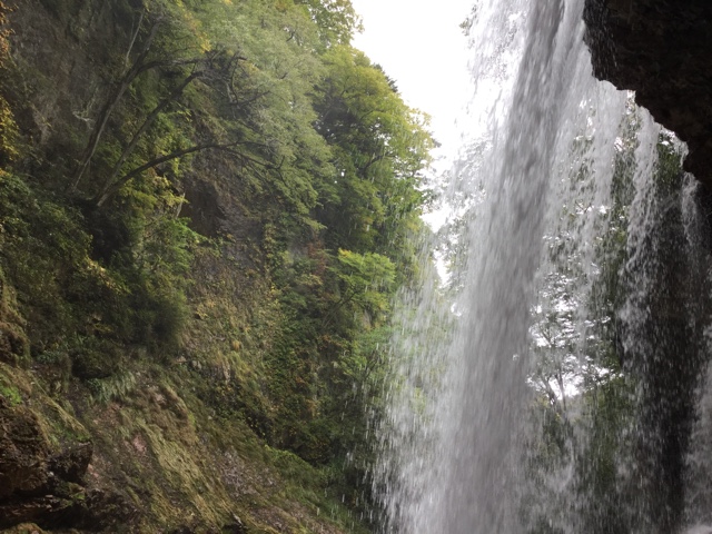 f:id:nekozanaruri:20171008174506j:plain f:id:nekozanaruri:20171008174506j:plain