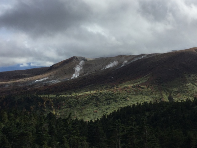 f:id:nekozanaruri:20171008174935j:plain f:id:nekozanaruri:20171008174935j:plain