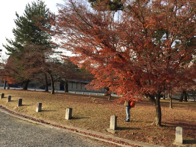 f:id:nekozanaruri:20171207203645j:plain